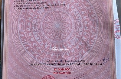 Tân lạc, Bảo lâm, 163m2; 100% thổ cư. 450tr bao sổ.